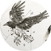 Raven Port